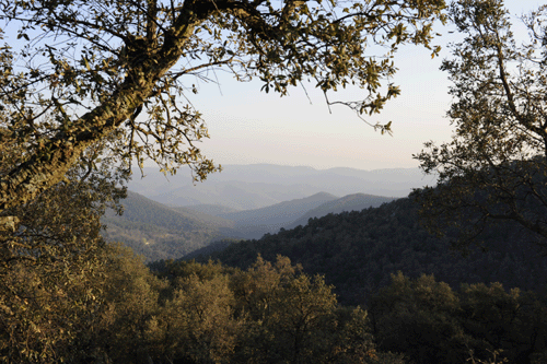 Plaine des Maures